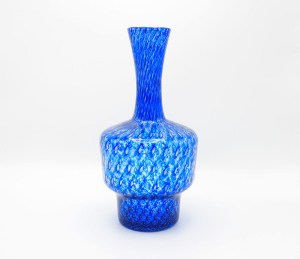 blauwnet1