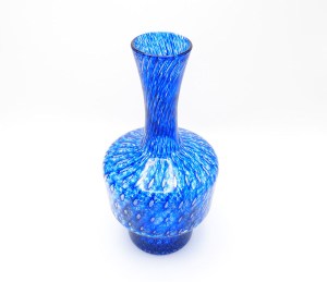 blauwnet2